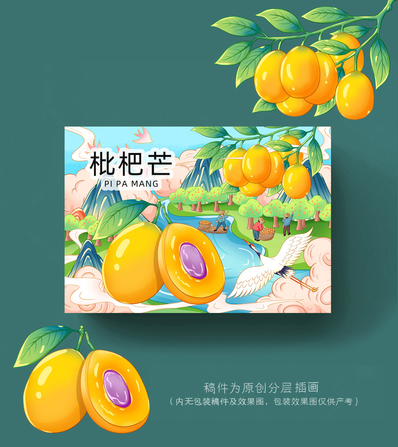 枇杷芒插畫手繪