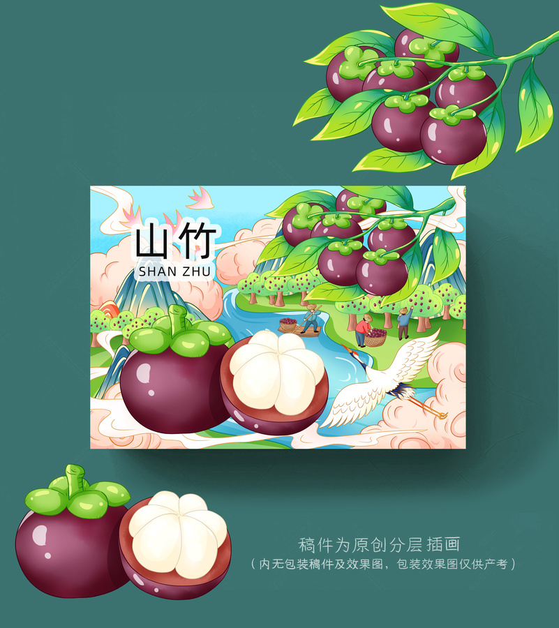 山竹插畫(huà)手繪
