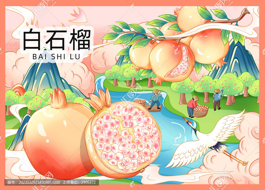石榴插畫(huà)手繪