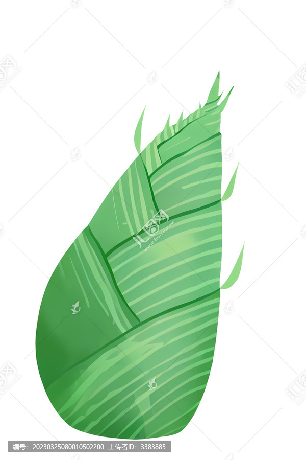 大竹筍