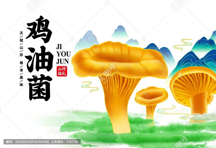 雞油菌