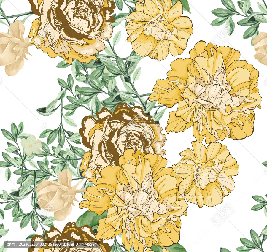大黃花