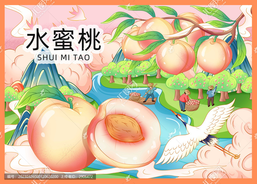 水蜜桃插畫手繪