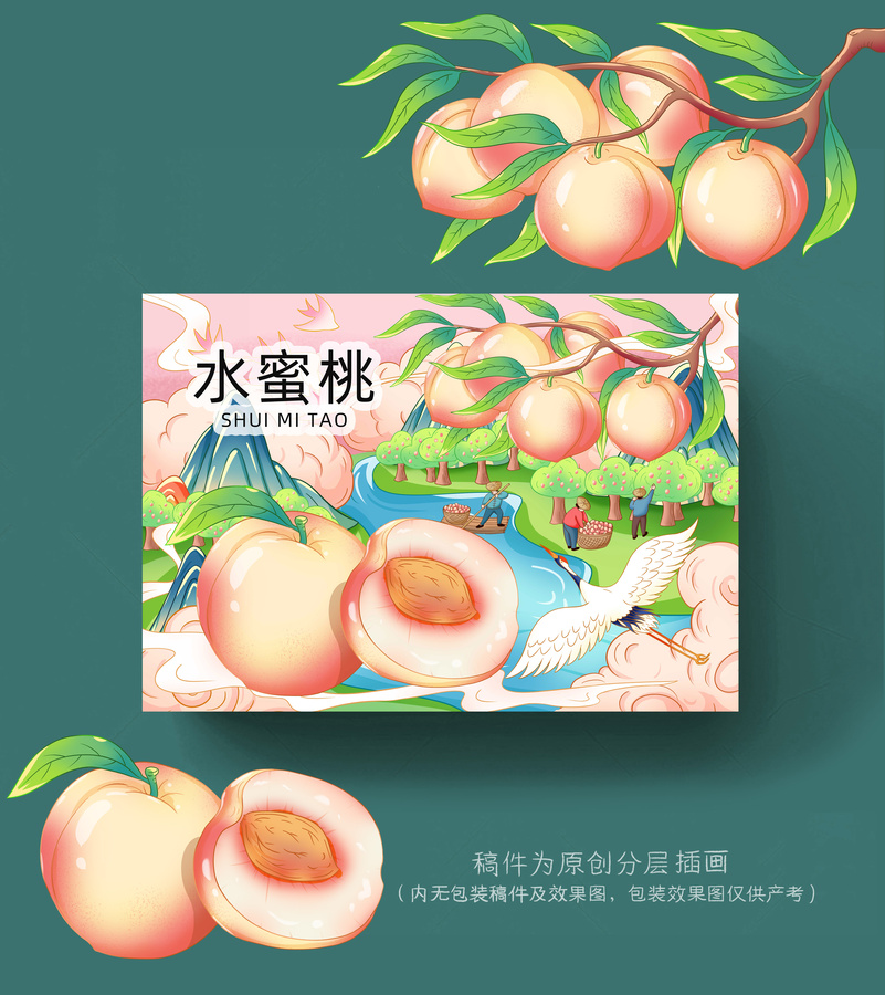 水蜜桃插畫手繪