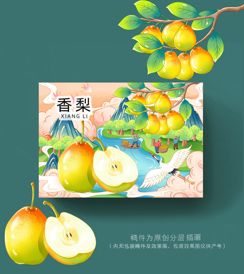 香梨插畫(huà)手繪