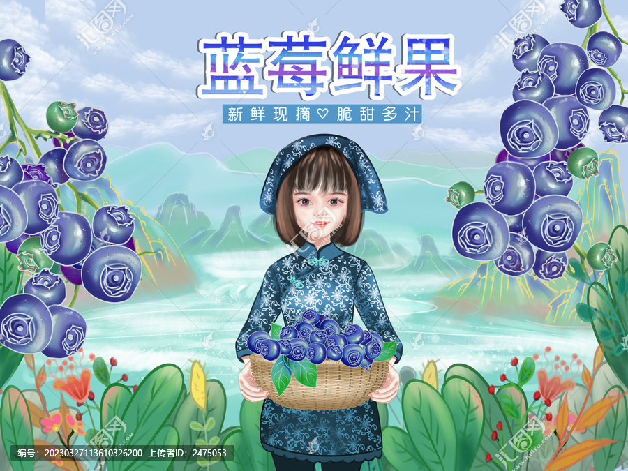 藍(lán)莓水果包裝插畫