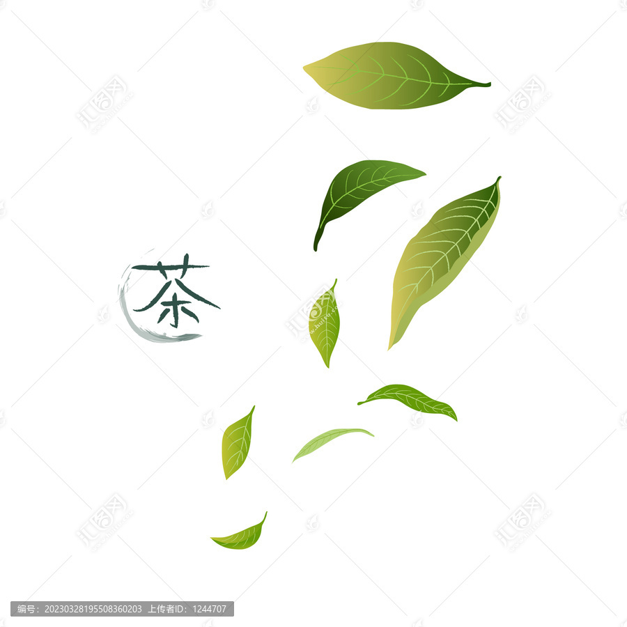 春茶