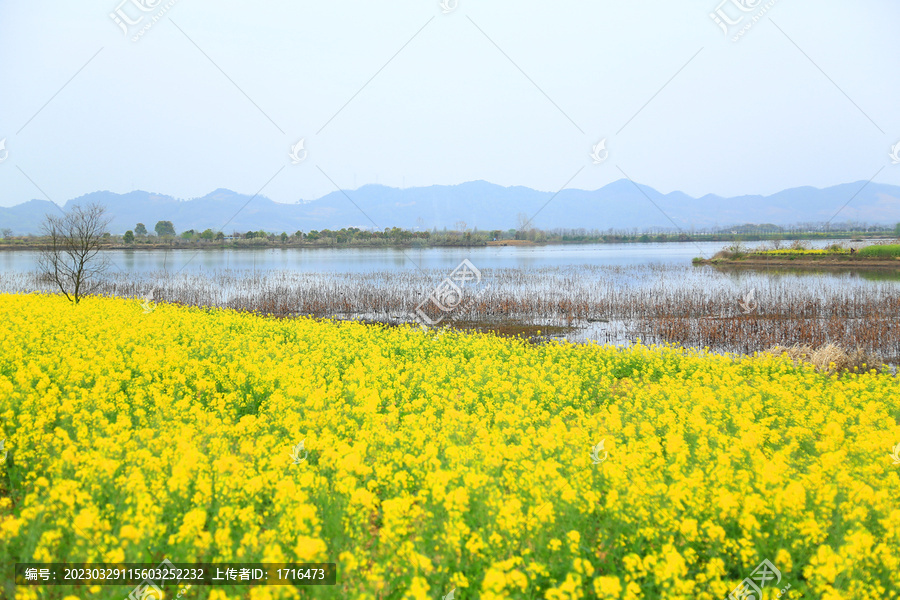 田园风景画