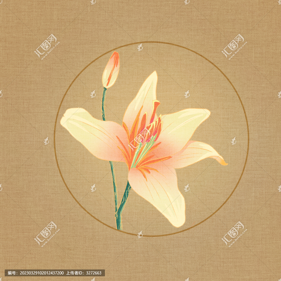 百合花