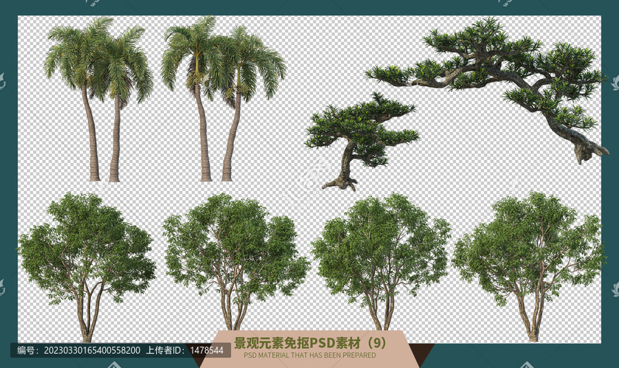 8棵景觀植物PSD素材