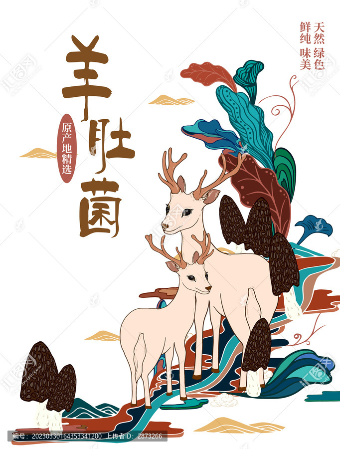羊肚菌包裝