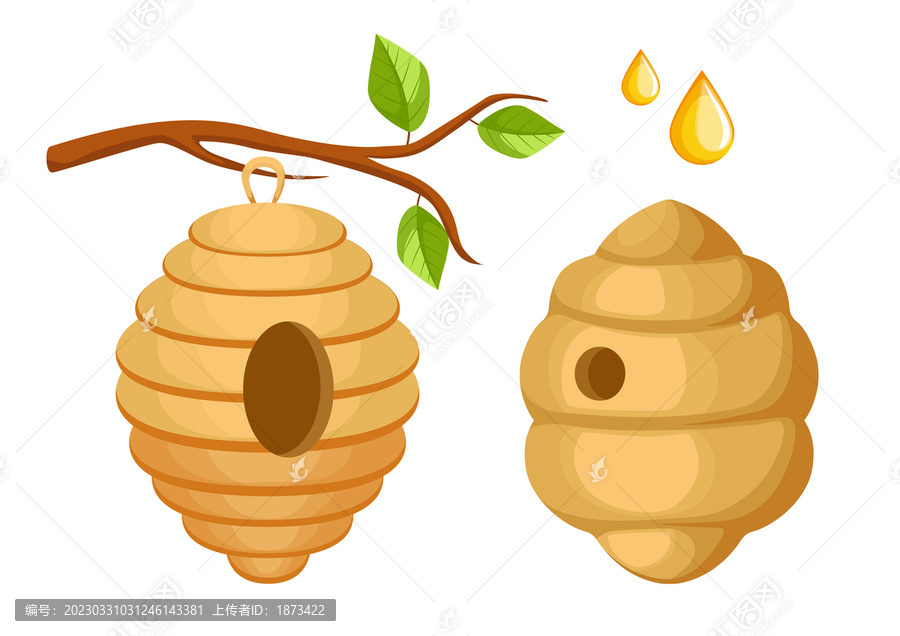 挂在树枝上的蜂巢与独立蜂巢,平面插图素材