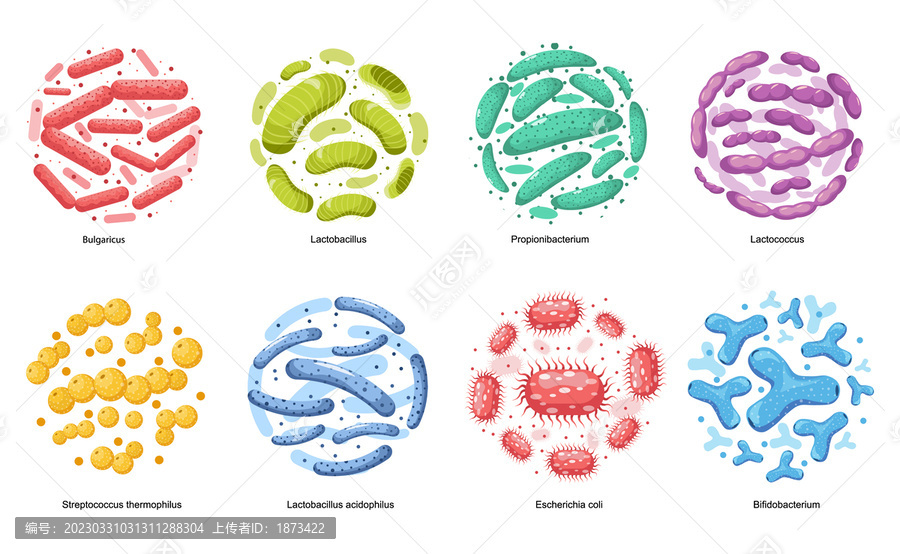 缤纷益生菌平面插图素材集合