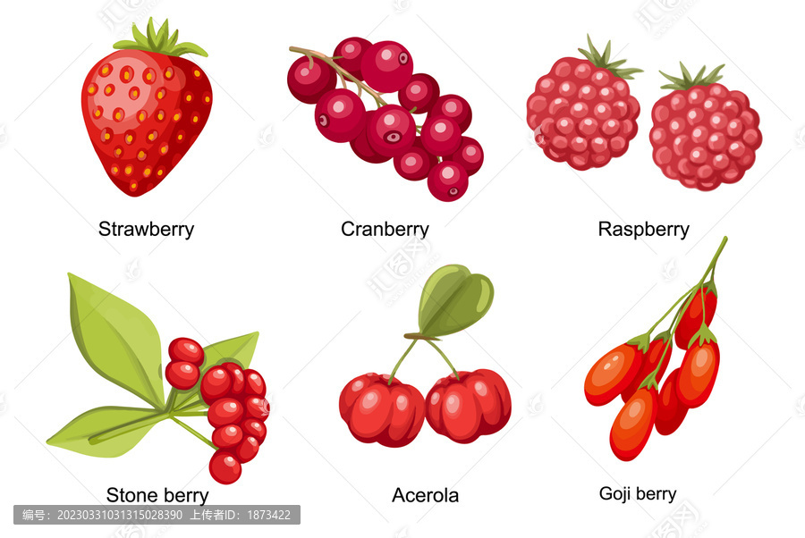 带光泽的莓果,平面插图素材