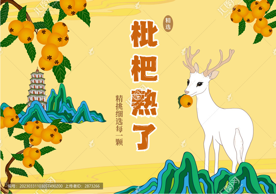 枇杷包裝