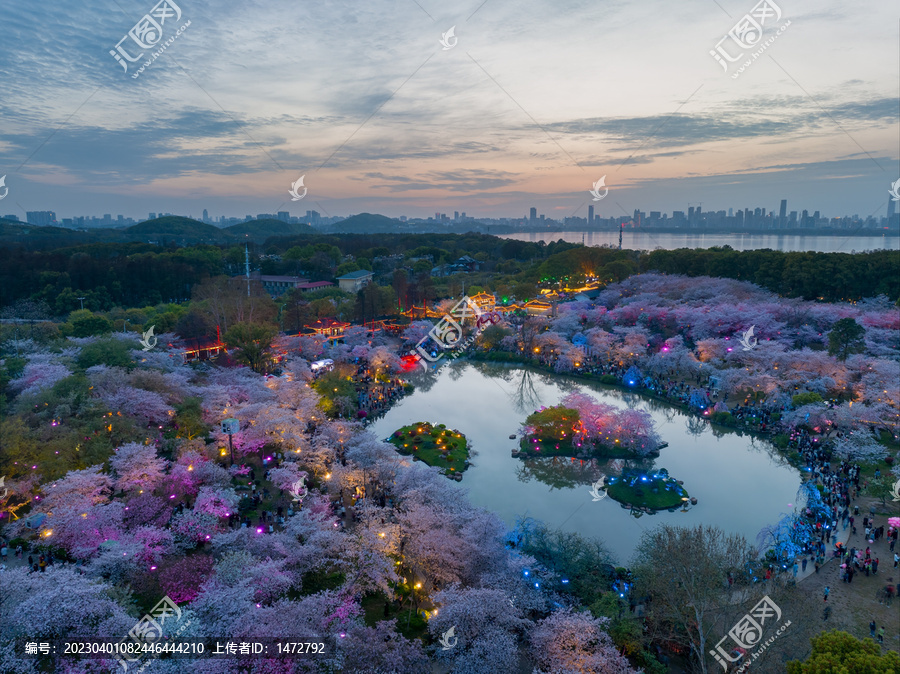 武汉东湖磨山樱花园夜景风光