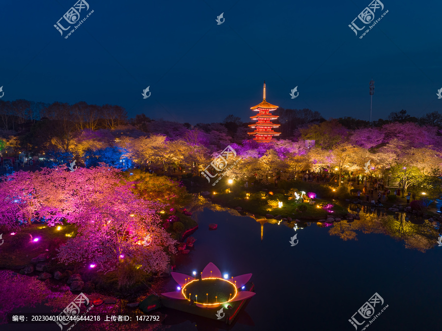 武汉东湖磨山樱花园夜景风光