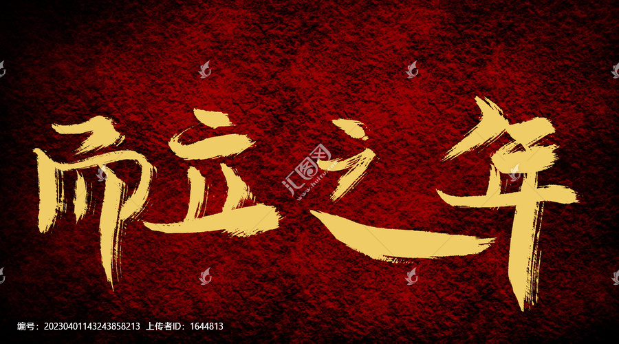 而立之年