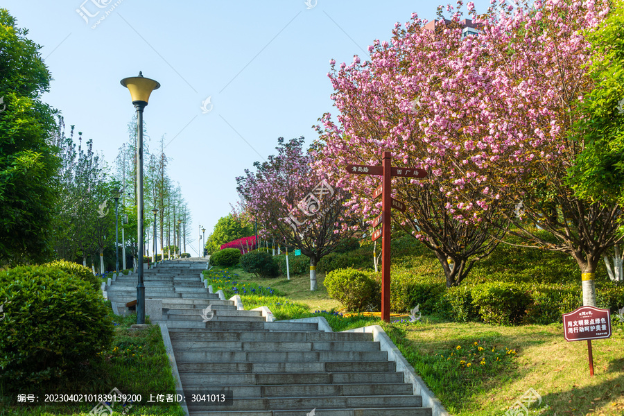 湖北宜昌市半岛森林公园美景