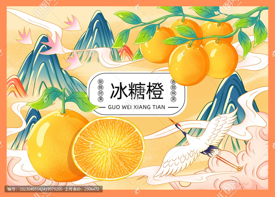 冰糖橙插畫(huà)手繪