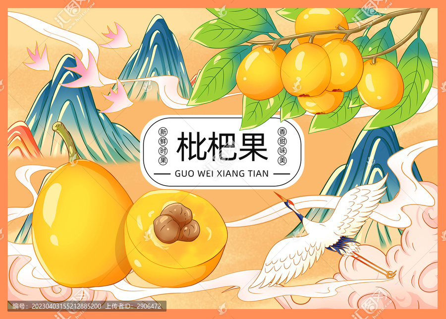 枇杷插畫手繪