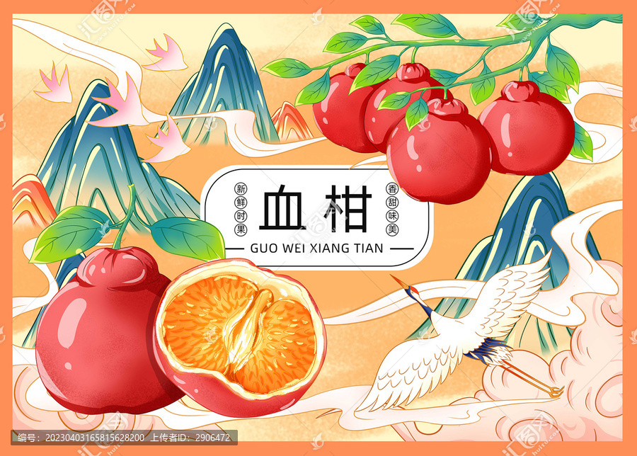 血柑插畫手繪