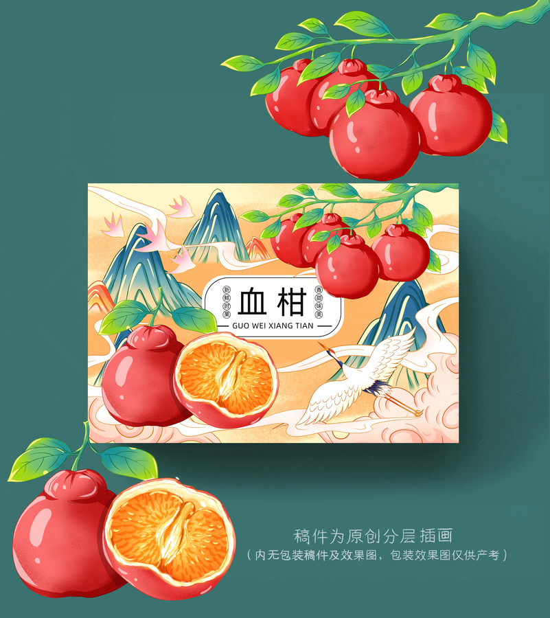 血柑插畫手繪