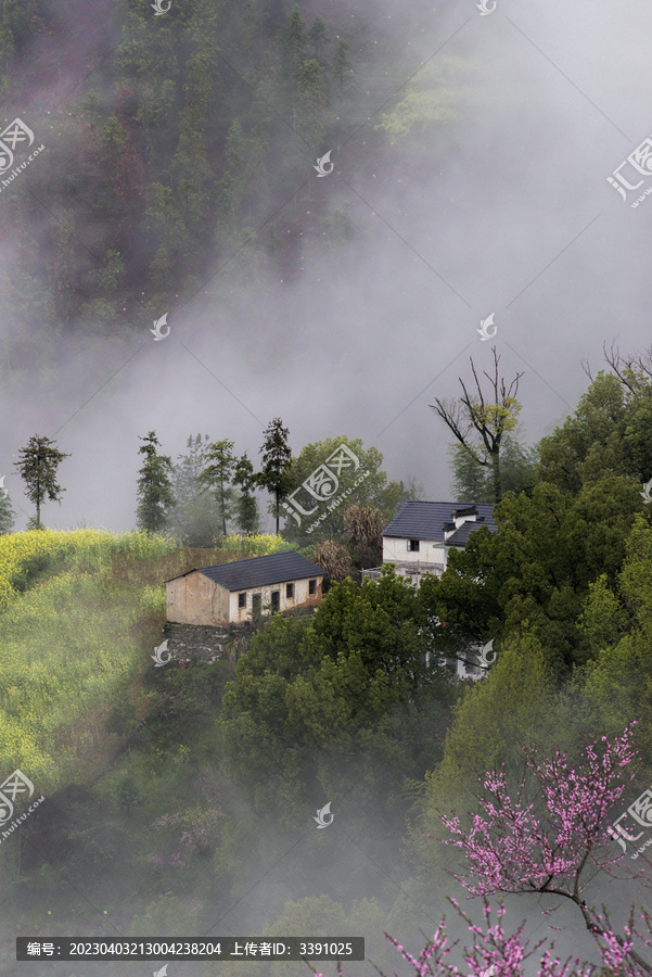 春山烟雨