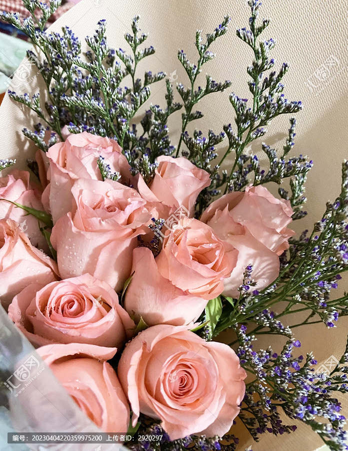 粉色玫瑰花花束浪漫情人节礼物