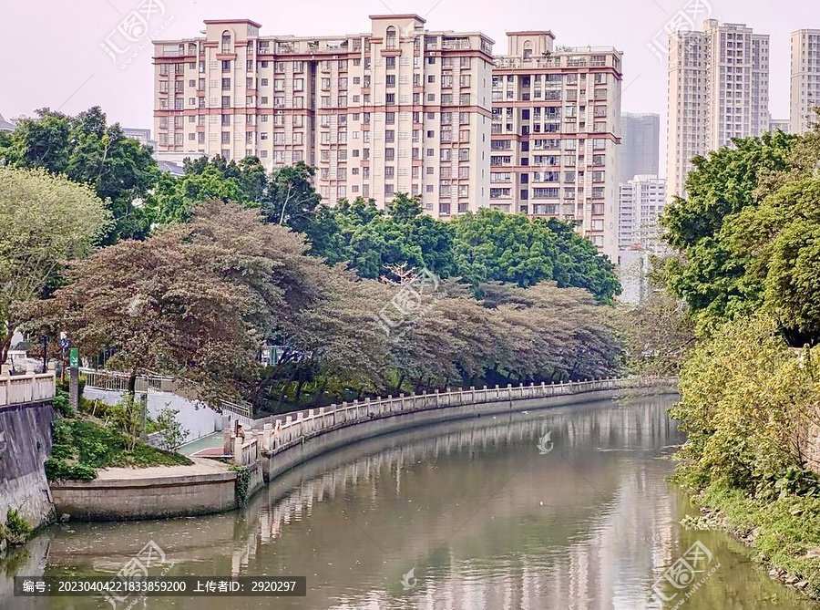 楼盘小区河流园林绿化城市