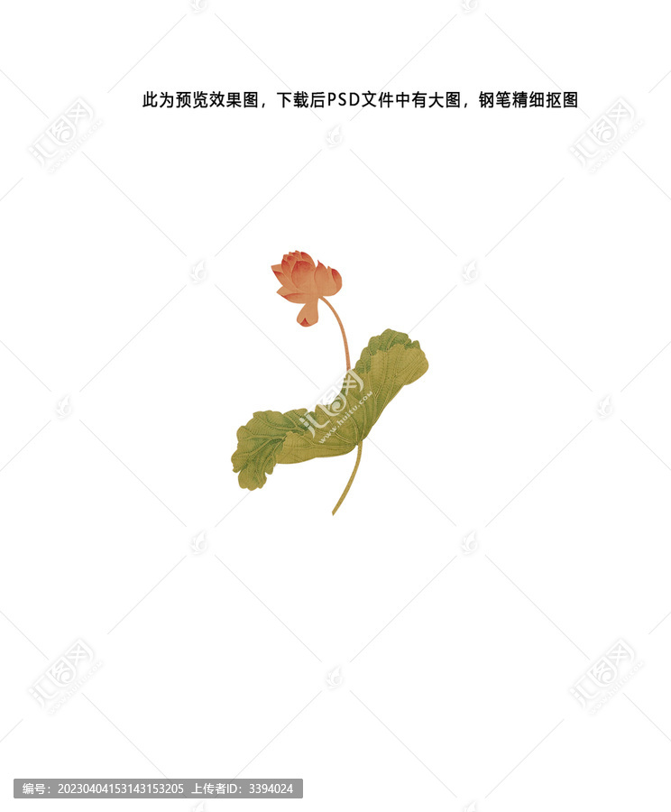 荷