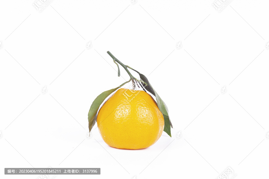 丑八怪橘子