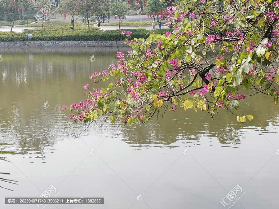 广州天河公园风光