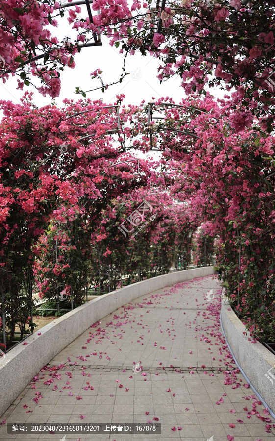 北海市花公园