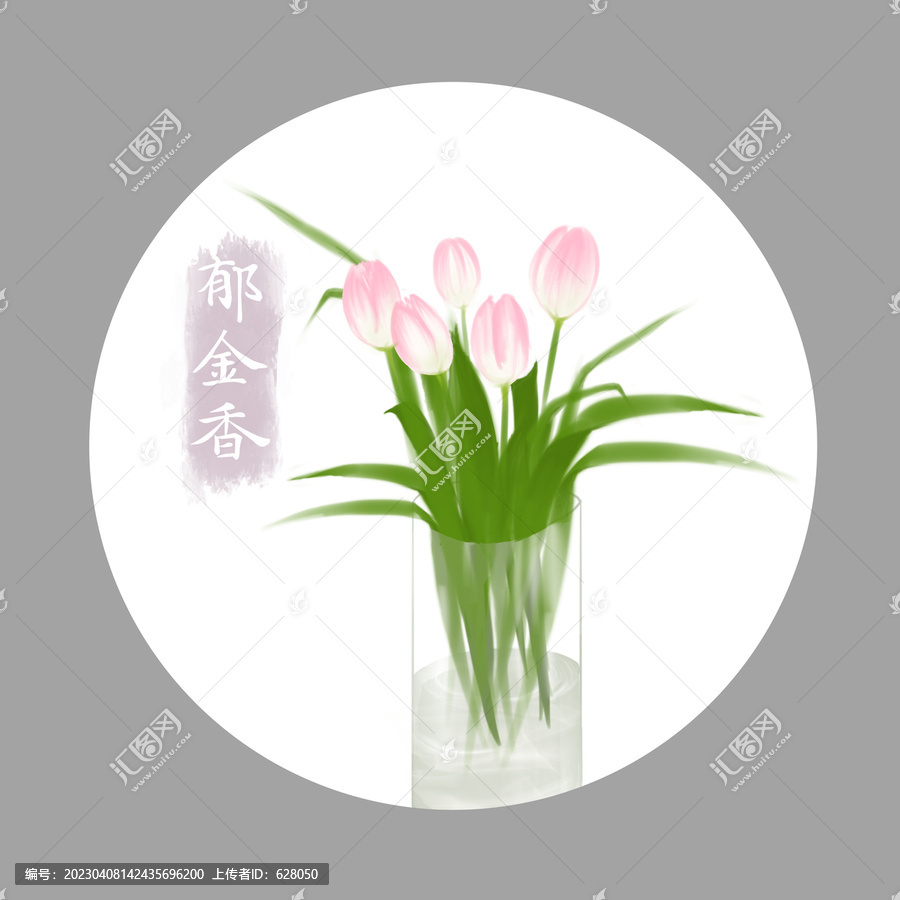 郁金香插畫