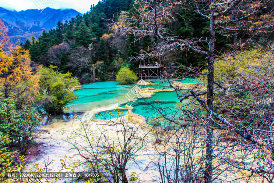 四川黄龙