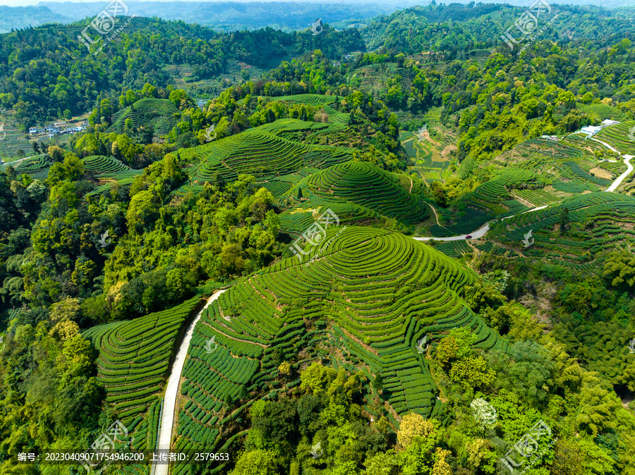 雅安金鼓村大地指纹景区