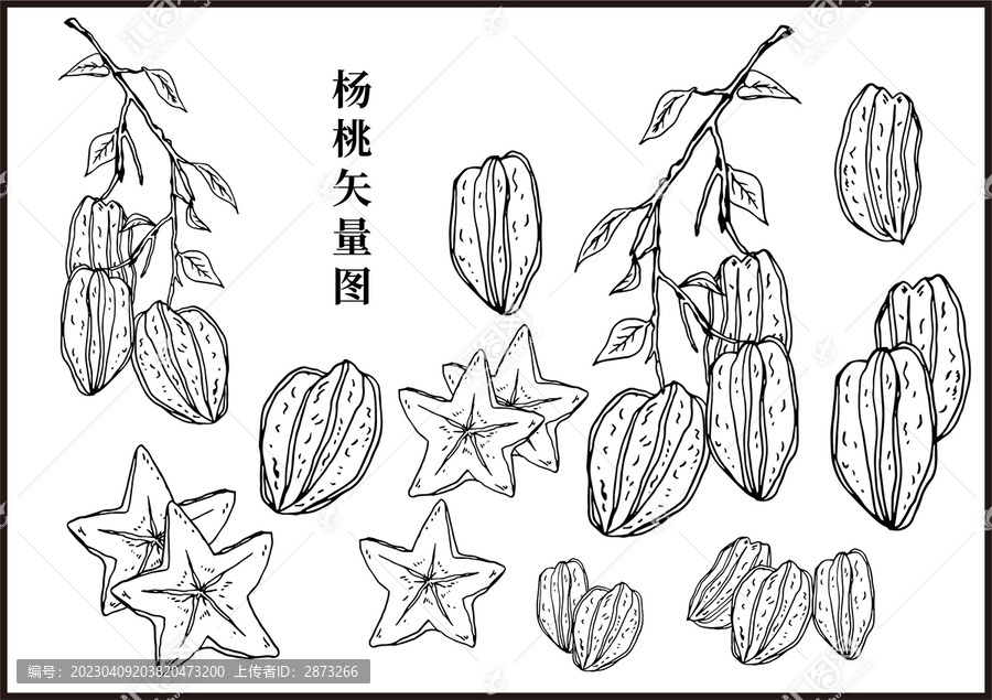 楊桃