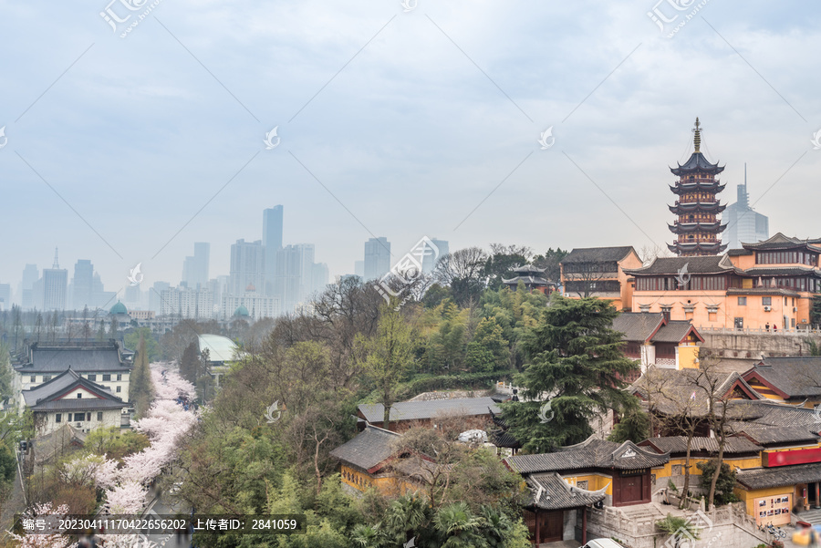 樱花季的南京明长城和鸡鸣寺