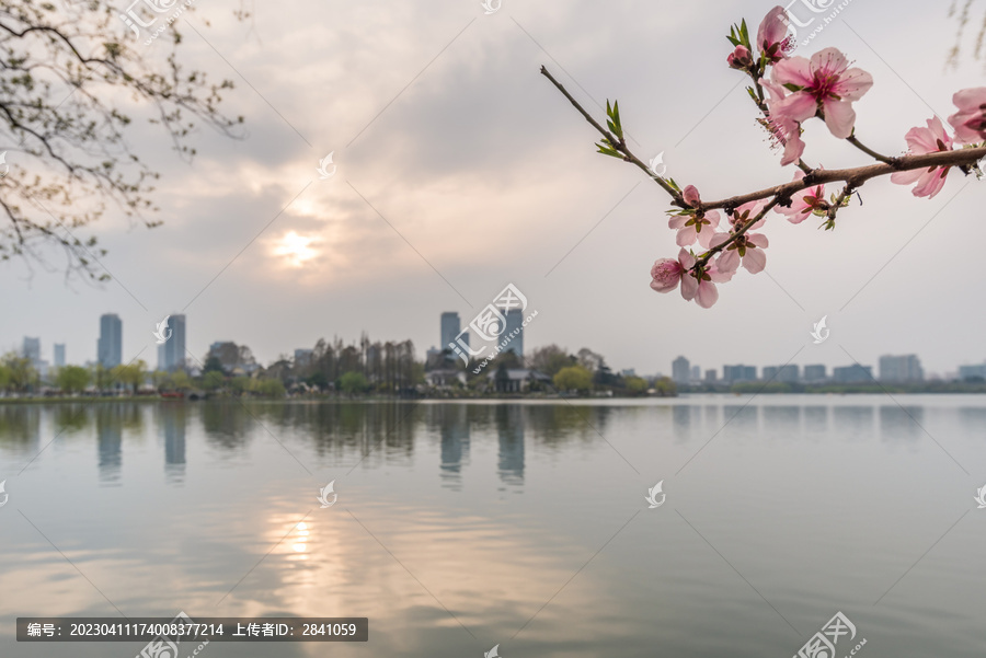 春天南京玄武湖公园风光