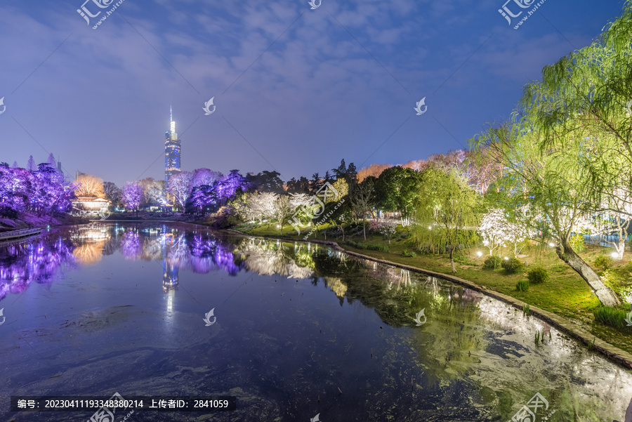 南京玄武湖公园夜景