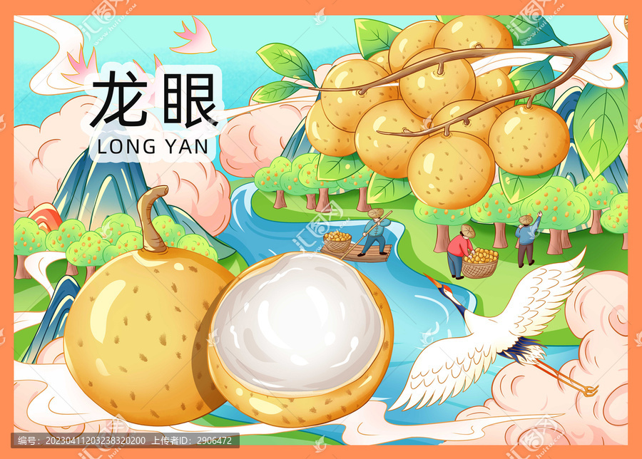 龍眼插畫手繪