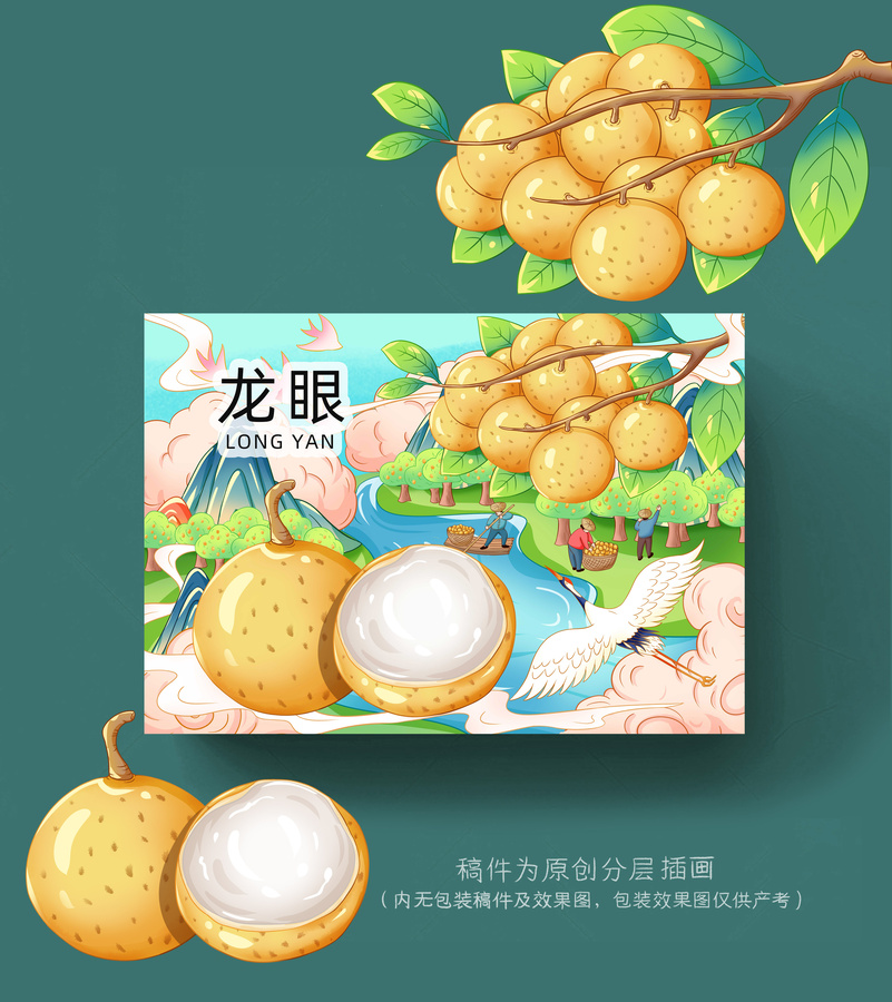 龍眼插畫手繪