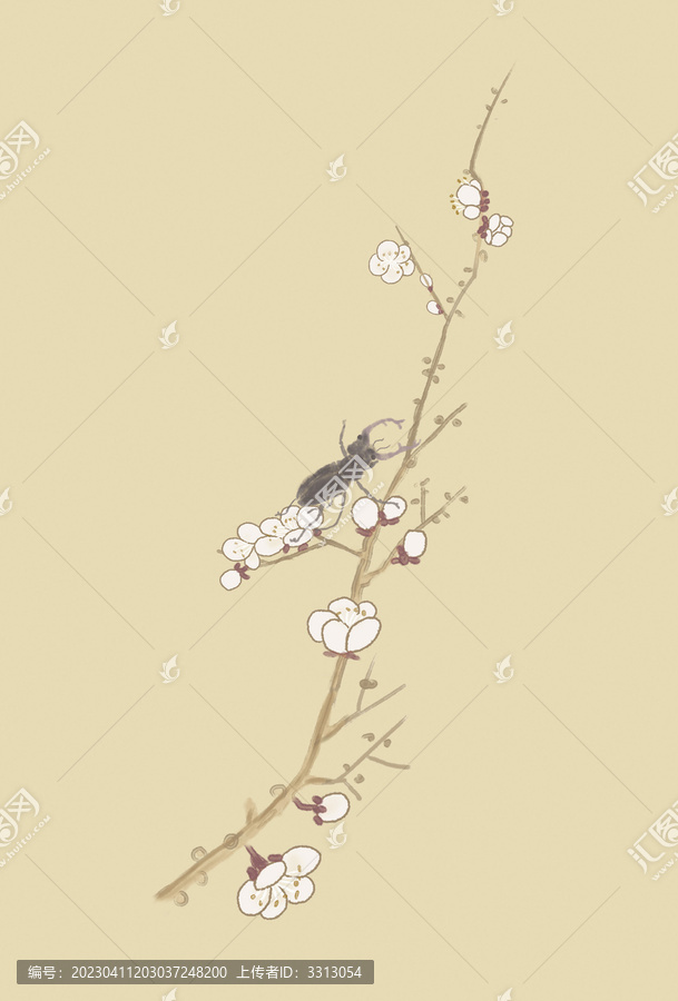 梅花