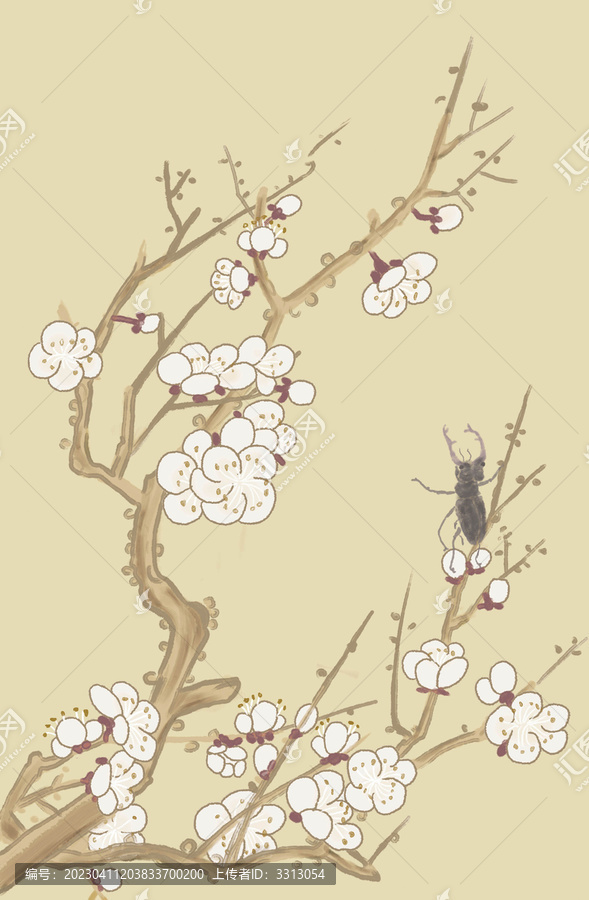 梅花角蟲圖