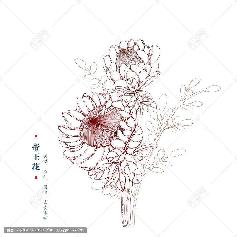 帝王花