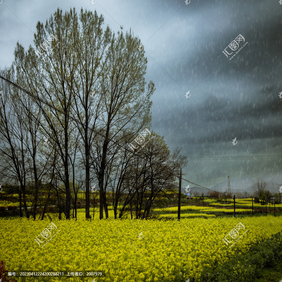 春雨