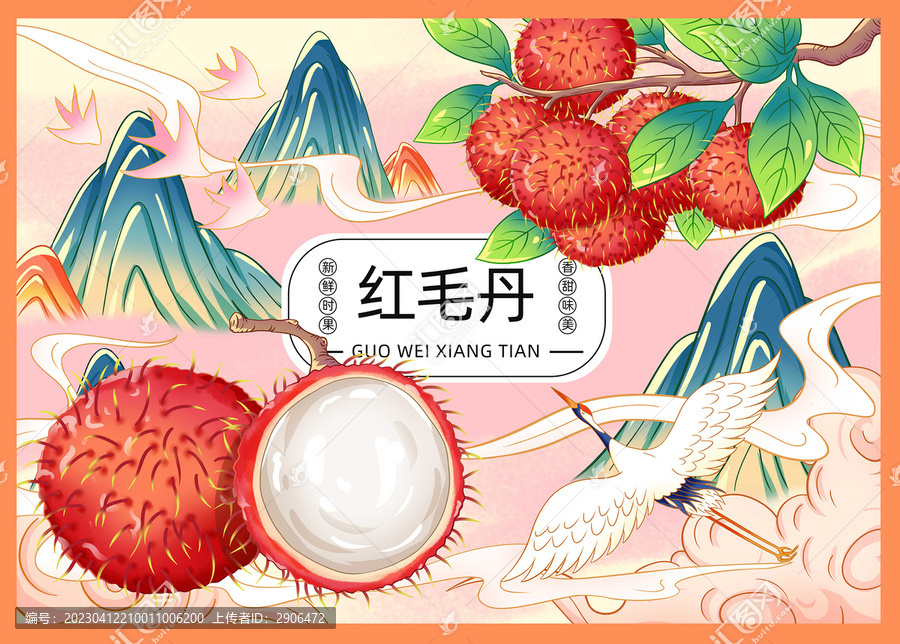 紅毛丹插畫手繪
