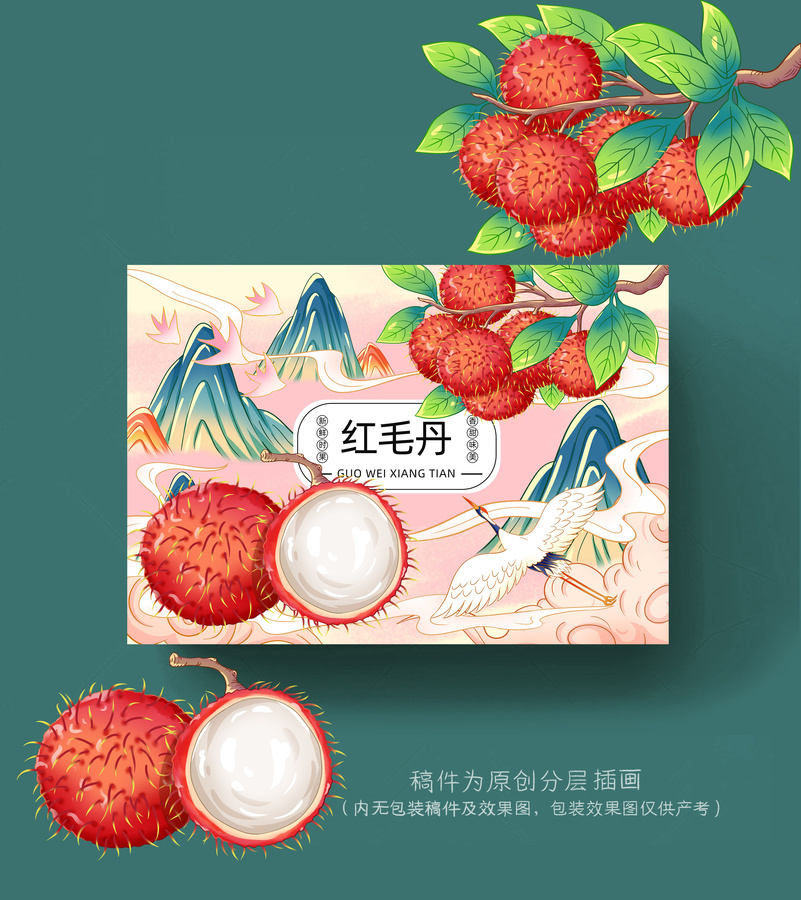 紅毛丹插畫手繪