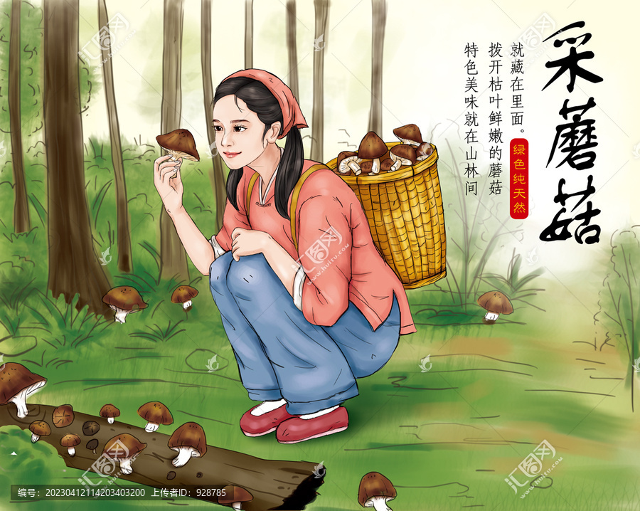 采蘑菇